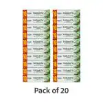 Sri Sri Tattva Sudanta Toothpaste - Non - Fluoride - 100% Vegetarian, 21g x Pack of 20