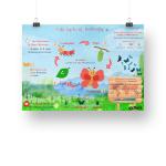 Ekdali Life Cycle of A Butterfly Poster 11.7 x 16.5 Inch