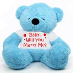 Hug N Feel Soft Toys Blue Polyester Teddy Bear Soft Toy - 5 feet
