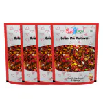 Funtush Mouth Freshener Gulabi Mix 100 gm 100gm Pack of 4