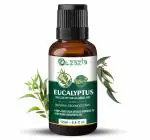 Zazla Eucalyptus Essential oil 100% Natural for Steam Inhalation, Diffuser, Therapeutic, 12ml
