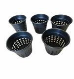 Subhiksha Plastic Orchid Or Hydroponics Plant Pot, 6.5 Inch (Black) - Set of 5 Pieces