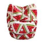 Apple Blossoms Cotton Melon Swash Bamboo-Cotton Inserts