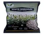 Iagrifarm White Sorghum - 5 kg - Whole Grain/Cholam | Vella solam | Jowar | Jola | Jonna - High Protein & 100% More Fibre Than Rice