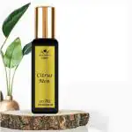 Menjewell Citrus Perfume For Men Eau de Parfum - 20 ml (For Men)