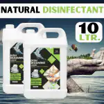 BLISS & BLUSH Dishwash Liquid 10 Liter Green Fragrance | Natural, Plant Based & Eco-Friendly | Removes Tough Grease