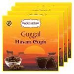 Hari Darshan Guggal Havan Sambrani Cup- 48 Cups | Guggal Havan Dhoop Cups for Pooja Home & Festivals | Pack of 4 (12 Cups Each, 1 Burner Plate/Pack