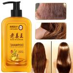 SOMWRITA Yellow Ginger Hair Growth & Healthy Hair Shampoo | Ginger Anti-Dandruff Shampoo For Healthy Scalp & Hair | Damage Repairs | Ginger Shampoo for Men & Women - pack of 1 [250ml].