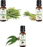 botanic garden Lemongrass,Citronella,Eucalyptus Oils for Insect Repellent-10ml each (30 ml)