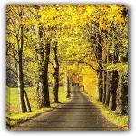 Art Factory Vastu Endless Path Painting Canvas Strecher Canvas 24 inch x 16 inch Painting (Without Frame)
