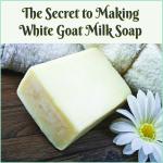 BADA HAIR Parabin ,Sulphate Free Goat Milk Melt and pour Soap Base (250 Gm)