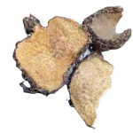 Nutrixia Varahikand-Dioscorea Bulbifera-Varahi-kand-Cheekyyam-Potato Yam 250 Gms