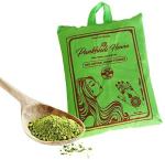Pankhudi mehandi powder for hair 500 gm Natural Mehendi (Pack of 1)