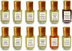 ZOOHI Fragrance Attar for men and women 3ml (Pack of 12) Floral Attar (Floral, Citrus, Fruity, Sandalwood, Rose, Mogra, Musk, Kewda, Blue Lotus, Agarwood, Leather, Spicy)