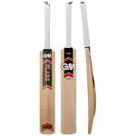 GM Sting Kashmir Willow Cricket Bat Short Handle Mens