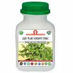 Erwon Jade Plant Growth Tonic Organic Liquid Fertilizer for Best Growth of Plants (250 ml)