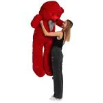 Ziraat red 5 feet teddy bear for gift st uu - 151.5 cm (Red)