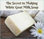 GOAT MILK + GLYCERINE SOAP BASE TO MAKE YOUR OWN ORAGANIC SOAP 250 GM