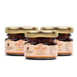 UPAKARMA Ayurveda 100% Ayurvedic, Original & Pure Shilajit/Shilajeet Resin Form with Safed Musli to Boost Performance, Power, Stamina, Endurance, Strength & Overall Wellbeing For Men and Women - 20g (Pack of 3)