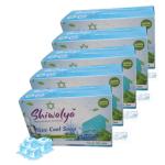 Shiwalya Naturals I Cool Mint and Menthol Bath Soap Handmade Soap with Menthol Mint Pepper Mint For Healthy & Whitening Skin - Pack of 5 | Each 100G |