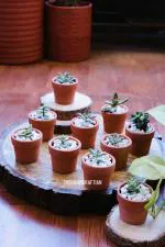 THE HANDICRAFTIAN MINIATURE POTS SET OF 10