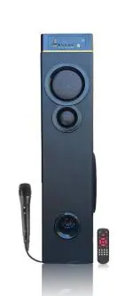 Mintronics Mi-4440-Rock 100W Tower Speaker 74 Cm Height 8 Inch Subwoofer 10Mm Wooden Cabinet Mic Supportable Bluetooth Usb With Remote Control, Black