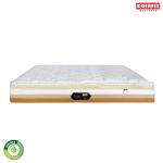 Coirfit Ortho Koil White Nano Spring Single Pocket HR Foam Mattress 72 x 42 x 7 inch