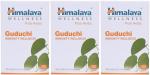 Himalaya Wellness Pure Herbs Guduchi Immunity Wellness Tablet Ayurvedic Medicine (3 Packs, 60 Tabs Each)