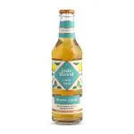 Jade Forest Citrus Crush Premium Iced Tea - Pack Of 12