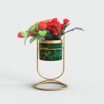 DM DESIGN MASTER Flower Vases with Iron Art Frame | Iron Living Room Tabletop | Flower Vase Ideal Gift for Home Living Room Office Desktop