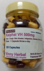 Kaiphal DH Herbal Supplement Capsules 120 Caps Jar - DoctorKC Herbal