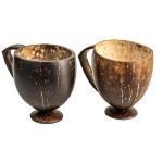 Thenga Hand Carved Natural Coconut Tea cup / Coffee Cup / Juice Cups / Glass Cups for Home / Office / Hotel / Restaurants - 200 ml (Set of 2)