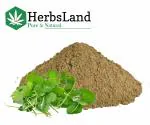 HerbsLand 100% Bio Organic Brahmi Leaves Powder (Bacopa Monnieri) for Hair Growth & Skin Care | Hair and Scalp Treatment (100 gm)