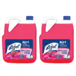 Lizol 5 Litre + 5 Litre - Rose , Disinfectant Surface & Floor Cleaner Liquid | Suitable for All Floor Cleaner Mops | Kills 99.9% Germs| India's #1 Floor Cleaner (2 x 5 L)