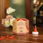 Amogha Incense cone in a hexa krafted box with flower lock top-Set of 4 - Fragrance Loban