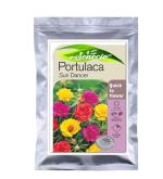 SENECIO Portulaca Sun Dancer Seed - 20 Per Packet