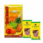Herbshd Ayurvedic Ever Health tonic 450 ml & Gas T capsule pack 2(combo pack)