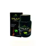Dhanwantri Natural herbs Care Private Limited Ayurveda Shilajit stamina Power Pack-1