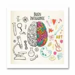 D. Creative Brain Infographic -UNFramed Wall Hanging Painting Art Print for Office, Home, Reading Room Décor (9x9) Inch