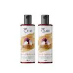 TILLARI ONION METHI HAIR OIL100ML (P_2)