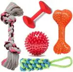 PETZLUV Chew Toys Dog Teething Training,Interactive Playing Toy,Dog Rope Toys for Pet