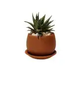 Nesfur CERA and Terra Home Decor 2.5 inch Tiny Terracotta Pot,Clay Pot, Plant Pot for Small Cactus and Succulents (Product Doesn't Include Plant) Pack Of 1