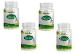 Dr. RELAXI By Rajasthan Aushdhalaya - 40 Capsules (Pack Of 4) - Support in Joint health