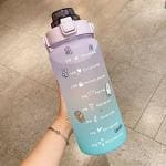 Virtuous Plastic Multicolor 2 Liter Water Bottles Motivational Bottle Gallon With Time Marker Sipper