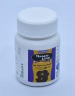 Calico Masculine Gold Power Capsule