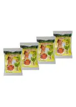 NIRMAL AYURVEDIC PRODUCTS Pacha Manjal Raw Turmeric Powder, Pack of 4 (100gm each)