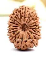 Feel Touch Mart 15 Mukhi Rudraksha Pandrah Mukhi Best Nepali Rudraksha Silver Pendant Rudraksha for Men & Women by Lab Certified