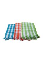 Gotla Textiles Gadwal Handloom Cotton Bathing Towels for Men & Women 170 x 78 cm (pack of 3)