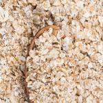 kwik snack Natural Gluten Steel Cut Rolled Oats Pouch (200 g)