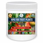 Erwon NPK For fruits Plants (200 gm)